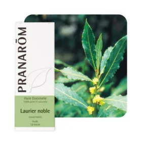 Huile essentielle Laurier noble 5 ml PRANAROM