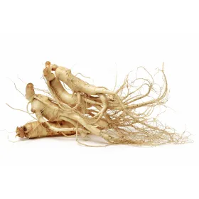 Ginseng Panax Bio 60 gélules VIT'ALL+