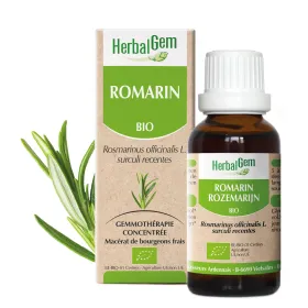 Romarin BIO Macérat mère bourgeons Flacon 30 ml HERBALGEM