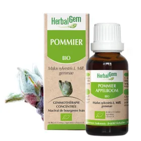 Pommier BIO Macérat mère bourgeons Flacon 30 ml HERBALGEM