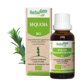 Sequoia BIO Macérat mère Flacon 30 ml HERBALGEM